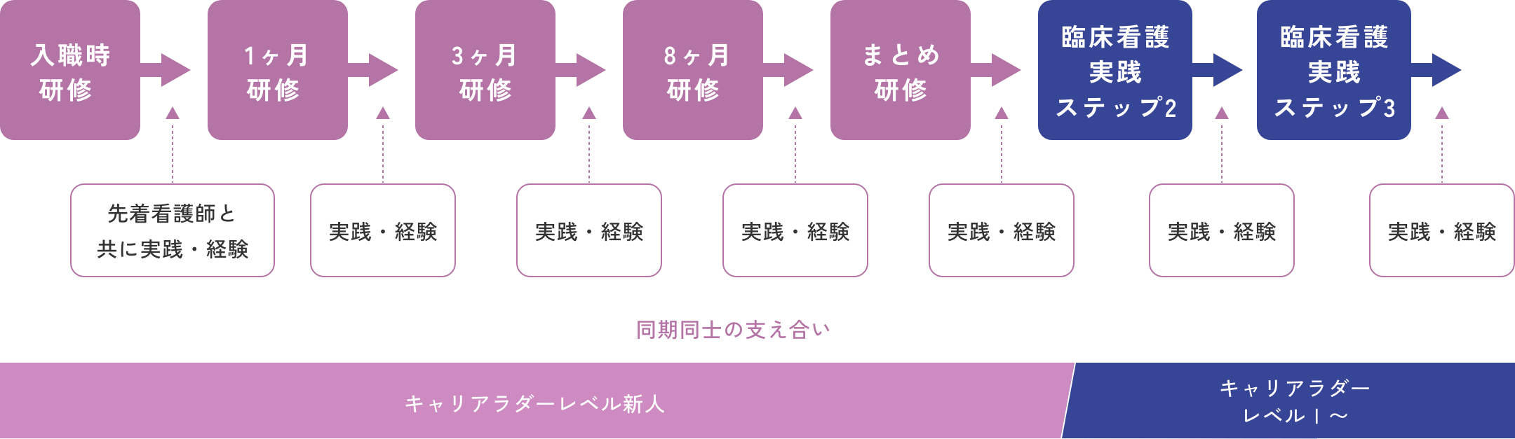 臨床看護実践ステップ1：新人看護職員研修