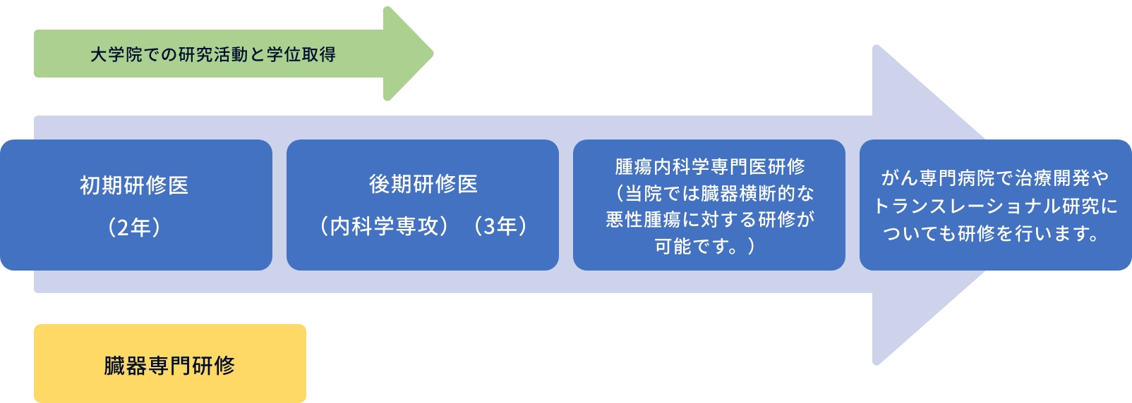 大学院での研究活動と学位取得