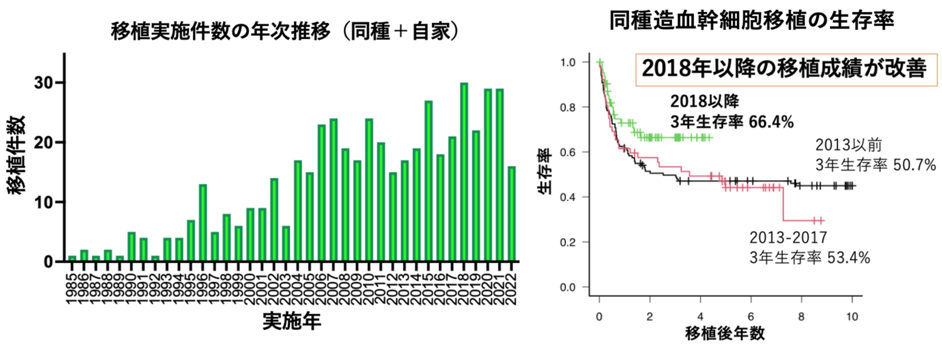 造血幹細胞移植成績のグラフ