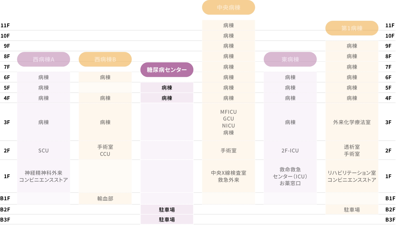 糖尿病センター