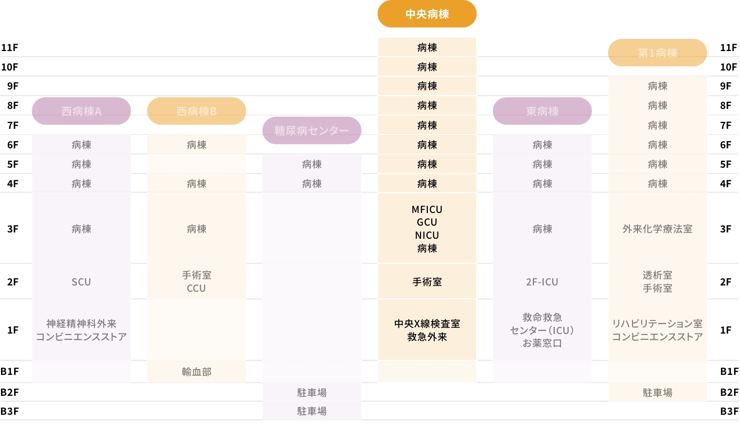 中央病棟